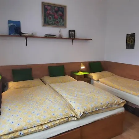 アパート Apartman U Pekare Dufka チェルニー・ドゥール