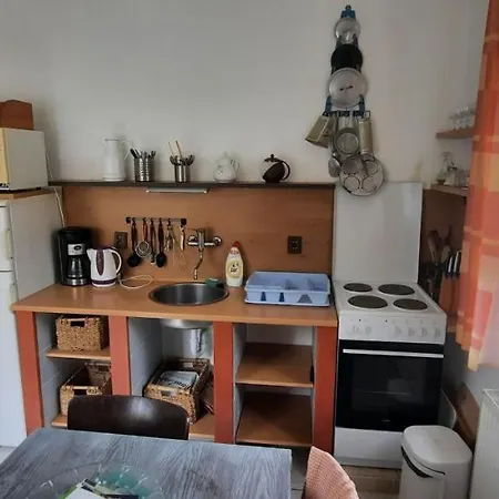 アパート Apartman U Pekare Dufka チェルニー・ドゥール